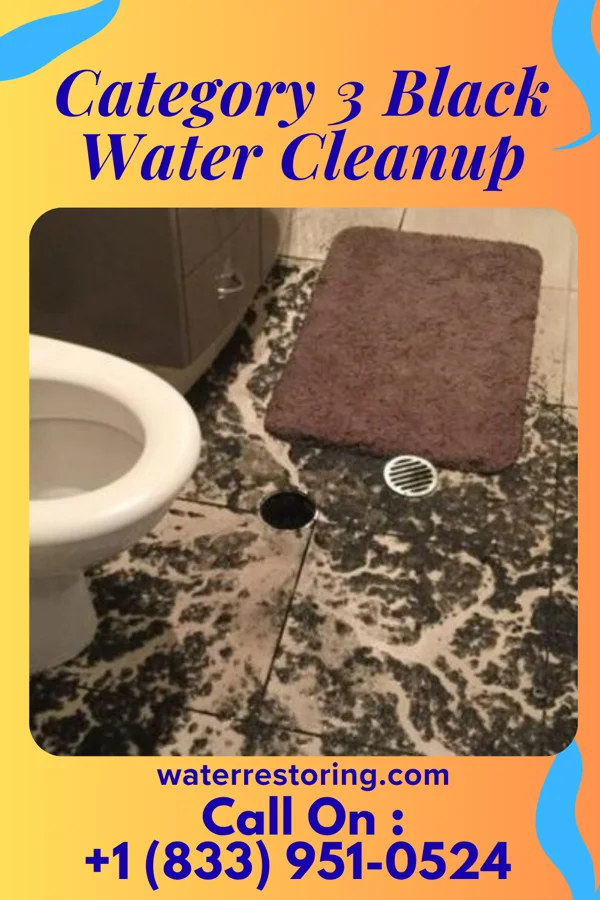 Category 3 Black Water Cleanup in Longstreet, LA
