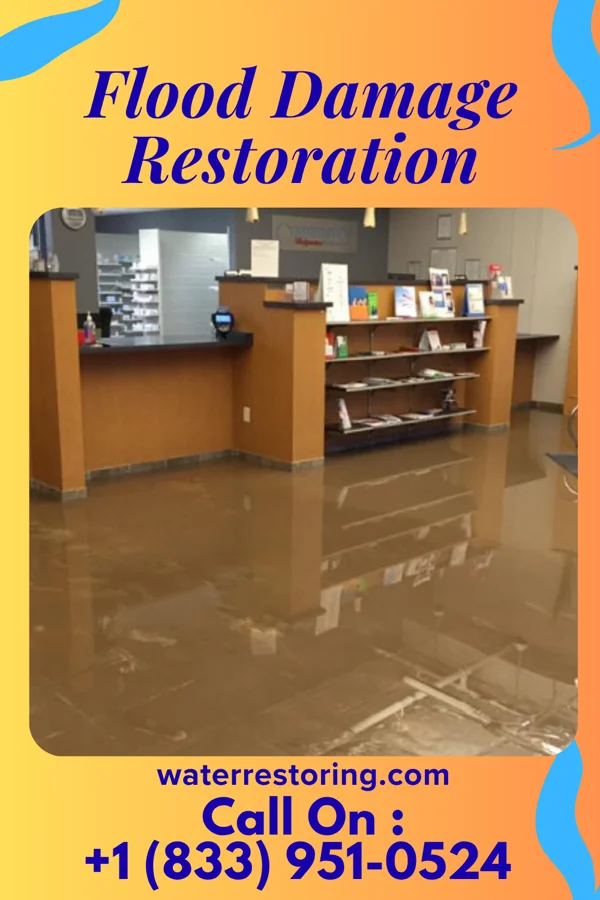 Flood Damage Restoration in Longstreet, LA